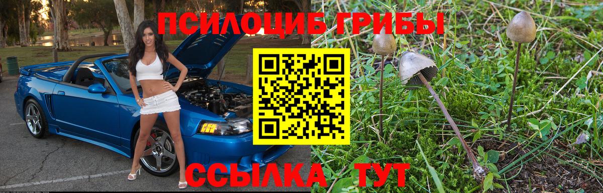 Галлюциногенные грибы GOLDEN TEACHER Октябрьский